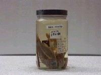 藏品(棘眼天竺鯛)的圖片